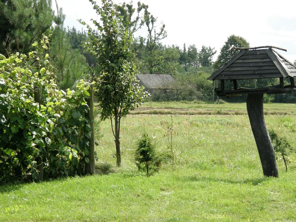 Agroturystyka "Bociek" Belk  ภายนอก รูปภาพ